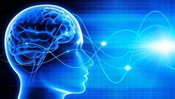 The Psychology of Successful Traders